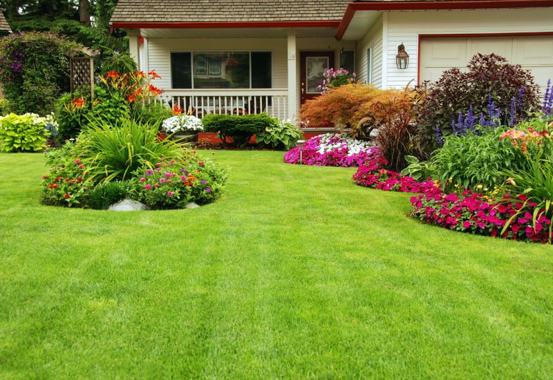 Yard Regrading