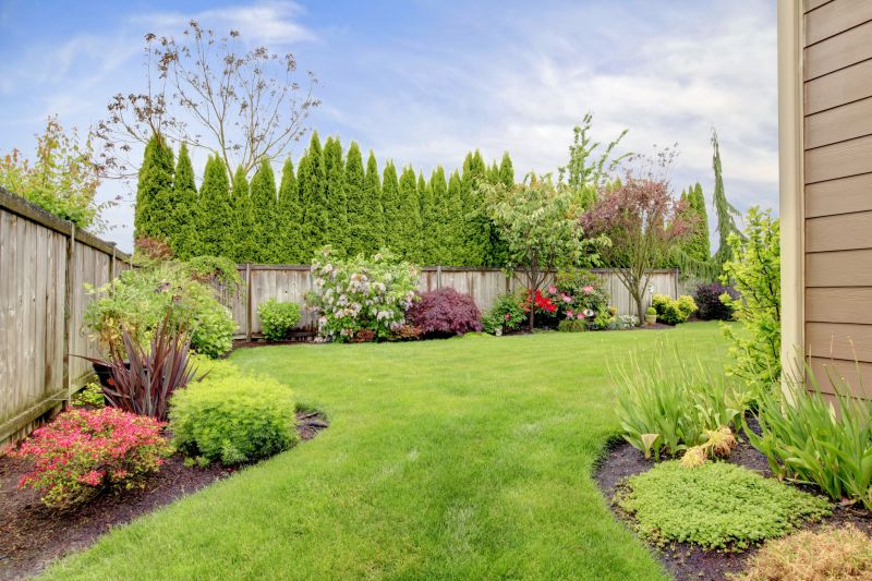 Yard Regrading
