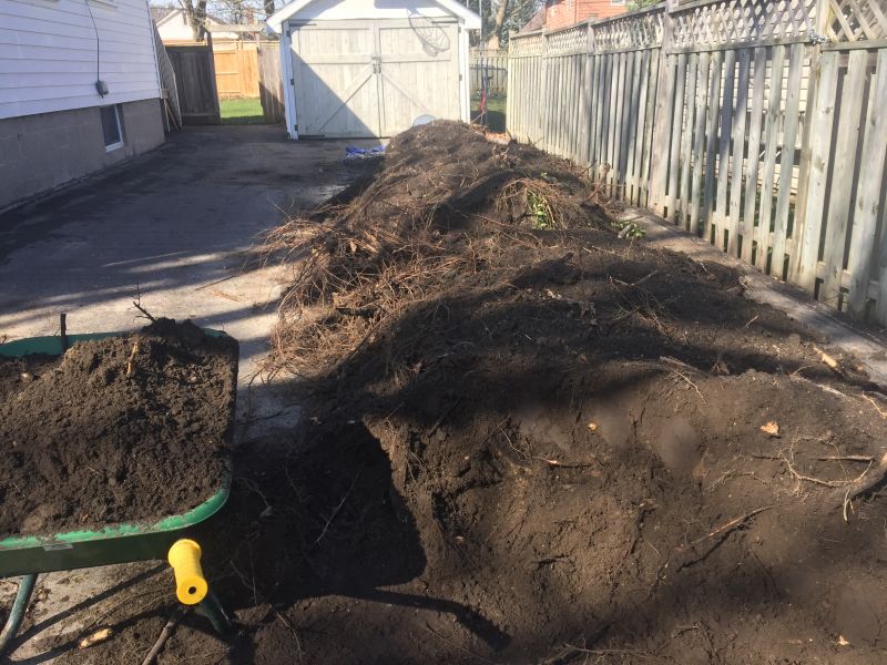 Yard Regrading